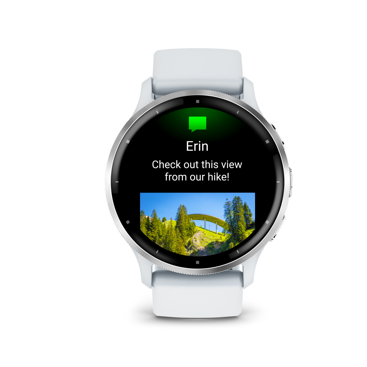 Venu 3 - 45mm - Silver Stainless Steel Bezel with Whitestone Case and Silicone Band